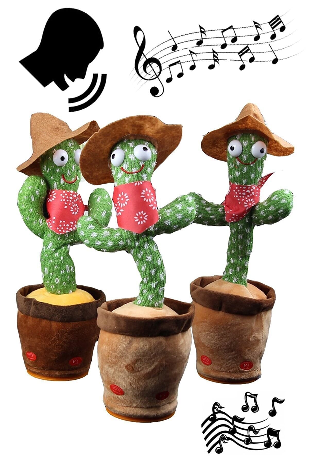 TTT Kaktüs Oyuncak Ses Kayıtlı Müzikli