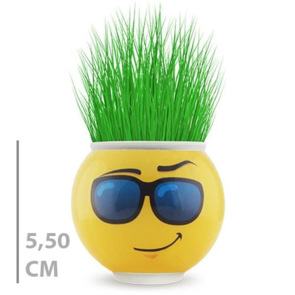 TTT Çim Adam Saksı Emoji Figürlü 1 Adet
